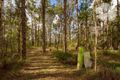 Property photo of LOT 37 Larpent Avenue The Branch NSW 2425