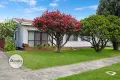 Property photo of 13 Flinders Street Portland VIC 3305