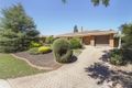 Property photo of 51 Park Lake Drive Wynn Vale SA 5127