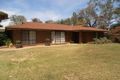 Property photo of 101 Pawson Avenue Red Cliffs VIC 3496