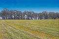 Property photo of 272 Extons Road Kinglake Central VIC 3757