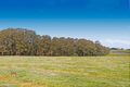 Property photo of 272 Extons Road Kinglake Central VIC 3757