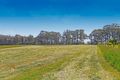 Property photo of 272 Extons Road Kinglake Central VIC 3757