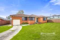 Property photo of 3 Young Street Mount Pritchard NSW 2170