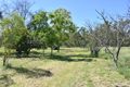Property photo of 39 Kooroogamma Road Moree NSW 2400