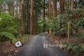 Property photo of 14 Hacketts Road Olinda VIC 3788