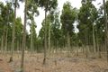 Property photo of 665 Wirring Road Cowaramup WA 6284