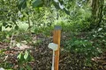 Property photo of 83 Forrest Drive Forrest Beach QLD 4850
