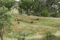 Property photo of 470 Goldfields Road Amiens QLD 4380