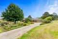 Property photo of 6 Pine Grove Warragul VIC 3820