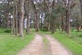 Property photo of 292 Myers Road Merricks North VIC 3926