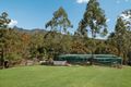 Property photo of 1270 Tyalgum Road Tyalgum NSW 2484