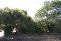 Property photo of 33 Mitchell Street Glengowrie SA 5044