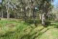 Property photo of 3 Tyrel Street Stanthorpe QLD 4380