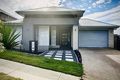 Property photo of 41 Creekwood Circuit Spring Mountain QLD 4300