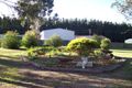 Property photo of 14 McEncroe Road Tarpeena SA 5277