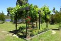 Property photo of 31 Redgum Drive Tallong NSW 2579