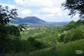 Property photo of 85 Grasstree Road Eumundi QLD 4562