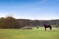 Property photo of 235 Tripp McDonalds Road Nilma North VIC 3821