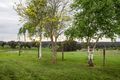 Property photo of 235 Tripp McDonalds Road Nilma North VIC 3821
