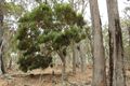 Property photo of 665 Wirring Road Cowaramup WA 6284