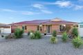 Property photo of 29 Ovens Avenue Murray Bridge SA 5253