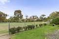Property photo of 12 Catalina Crescent Clifton Springs VIC 3222