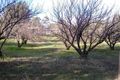 Property photo of 4 Bailey Heights Balingup WA 6253