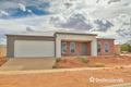 Property photo of 41 Karalanza Drive Mildura VIC 3500