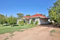 Property photo of 41 River Avenue Merbein VIC 3505