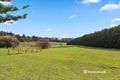 Property photo of 175 Graham Road Wandin East VIC 3139
