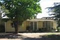 Property photo of 21 Evans Street Renmark SA 5341