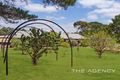 Property photo of 90 Grandis Road Morangup WA 6083
