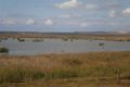 Property photo of 6 Narrung Stud Road Narrung SA 5259