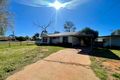 Property photo of 49 Green Street Cobar NSW 2835