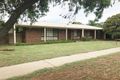 Property photo of 56 Chapman Street Swan Hill VIC 3585