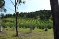 Property photo of 210 Burragate Road Burragate NSW 2550