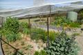 Property photo of 210 Burragate Road Burragate NSW 2550