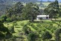 Property photo of 210 Burragate Road Burragate NSW 2550