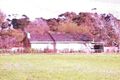 Property photo of 960 New Dookie Road Pine Lodge VIC 3631