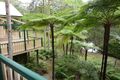 Property photo of 220 Flaxton Mill Road Flaxton QLD 4560