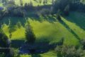 Property photo of 1281 Jiggi Road Jiggi NSW 2480