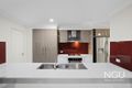 Property photo of 3 Krause Street Bellbird Park QLD 4300