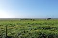Property photo of 117 Paech Road Monarto SA 5254