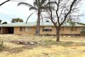 Property photo of 53 Donovan Street Cunderdin WA 6407