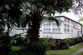 Property photo of 8 Hockings Street Clayfield QLD 4011