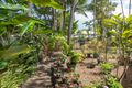 Property photo of 3 Langley Road Port Douglas QLD 4877