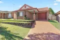Property photo of 5 Aliberti Drive Blacktown NSW 2148