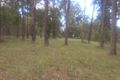 Property photo of LOT 208 Chapman Street Hampton QLD 4352