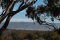 Property photo of 23 Crawford Crescent Flynn ACT 2615